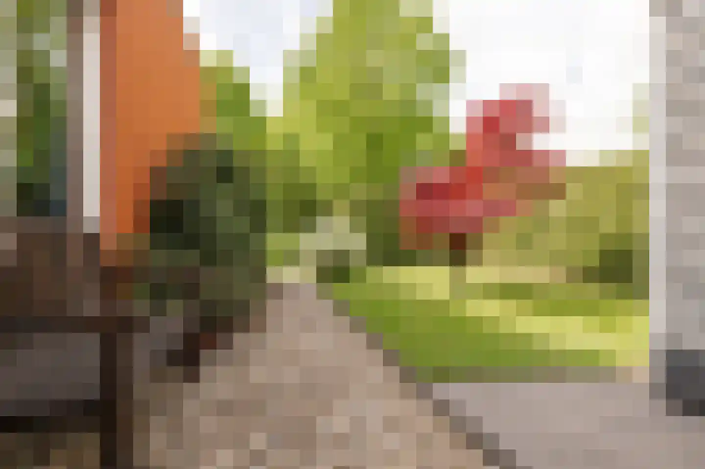 Tritonpad 1 Culemborg thumbnail 28