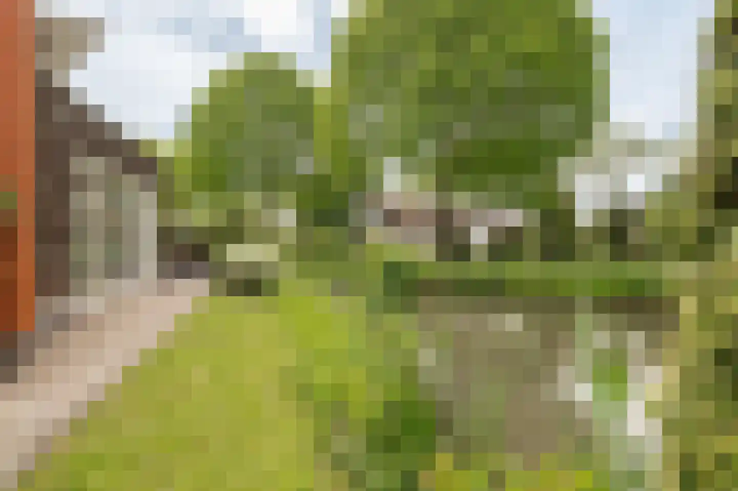 Tritonpad 1 Culemborg thumbnail 30