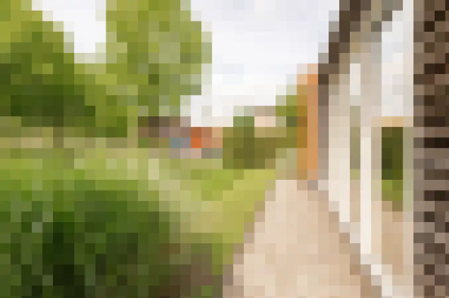 Tritonpad 1 Culemborg thumbnail 31