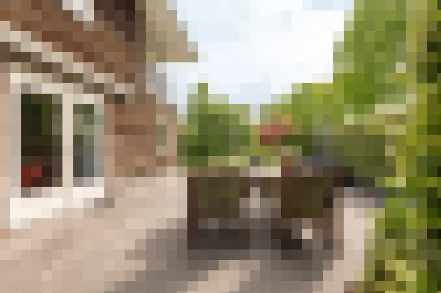 Tritonpad 1 Culemborg thumbnail 32