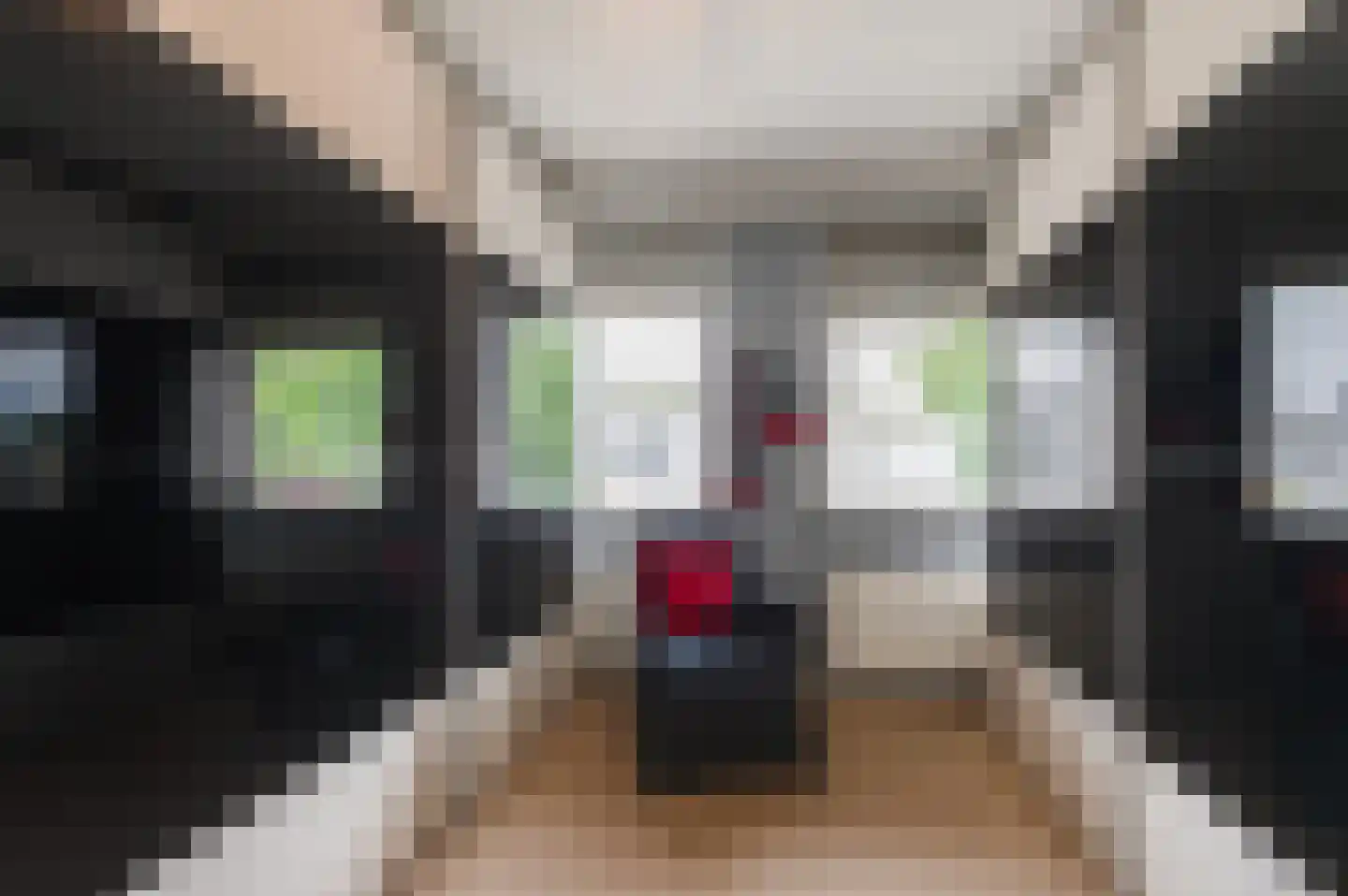 Tritonpad 1 Culemborg thumbnail 41