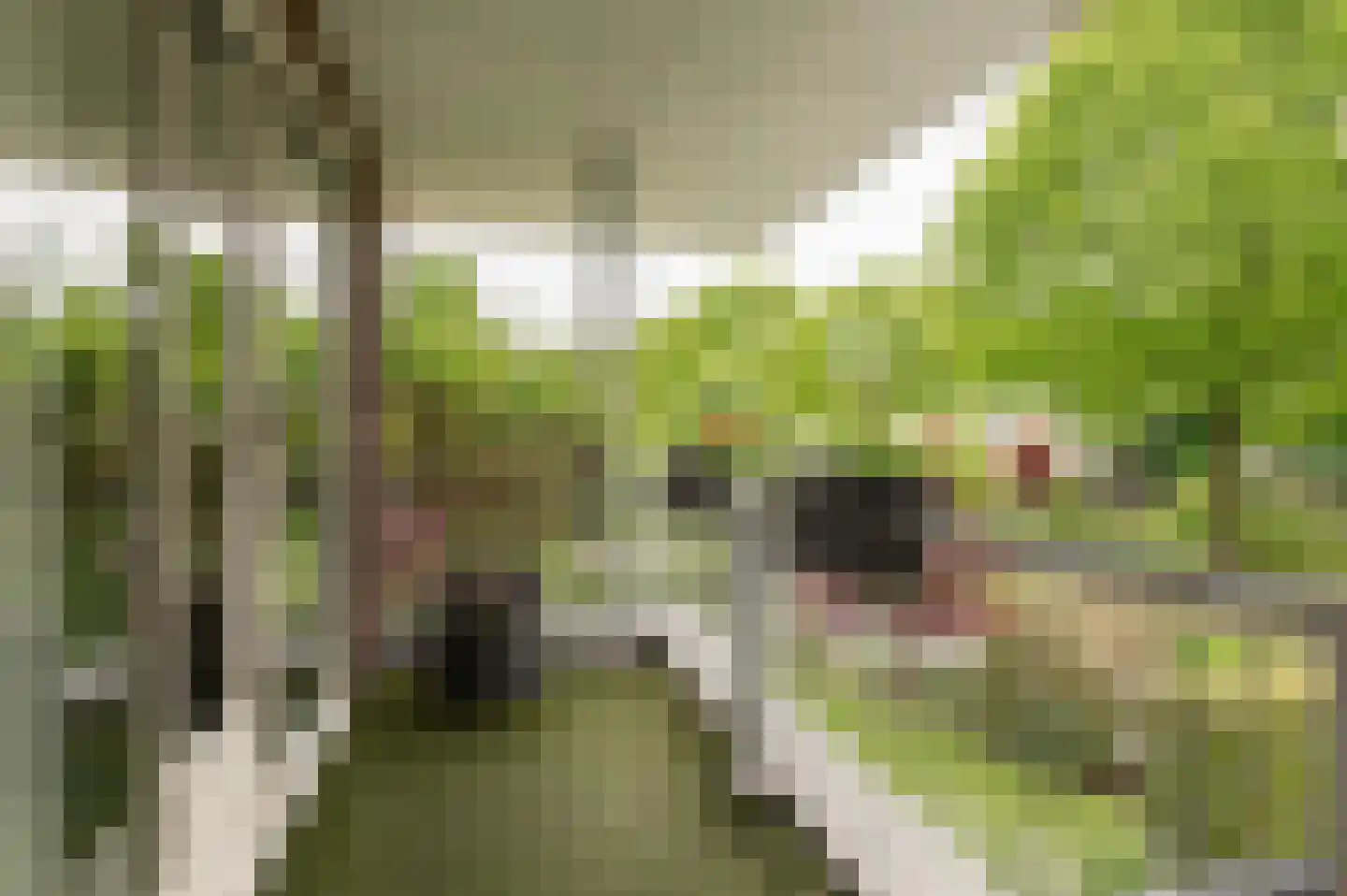 Tritonpad 1 Culemborg thumbnail 50