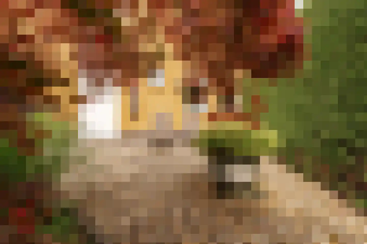 Tritonpad 1 Culemborg thumbnail 57