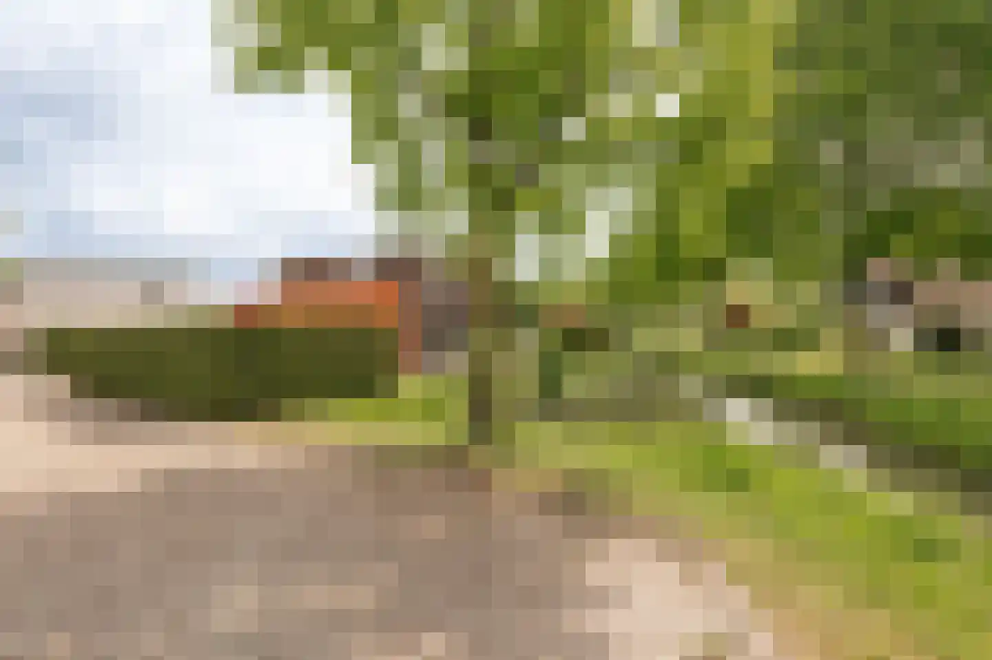 Tritonpad 1 Culemborg thumbnail 59