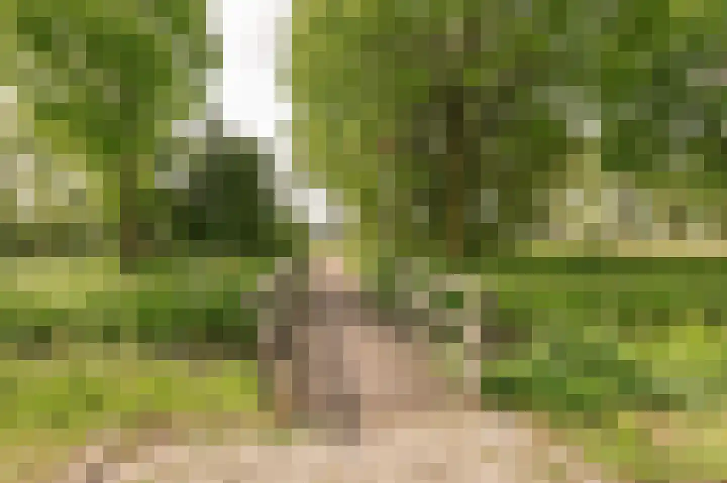Tritonpad 1 Culemborg thumbnail 60