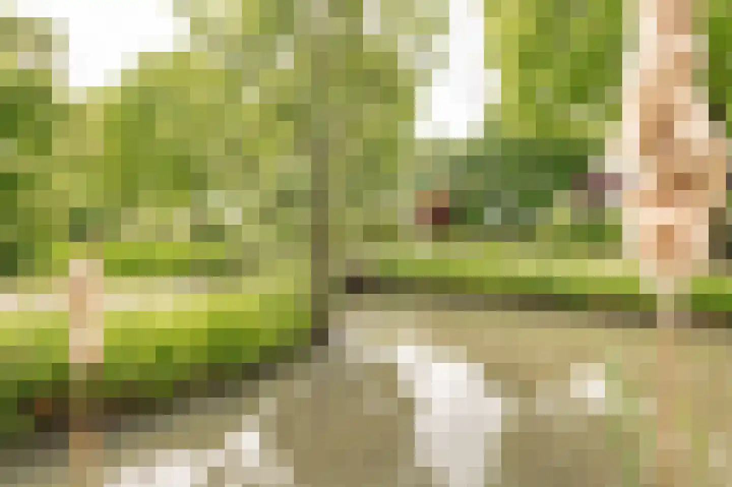 Tritonpad 1 Culemborg thumbnail 61