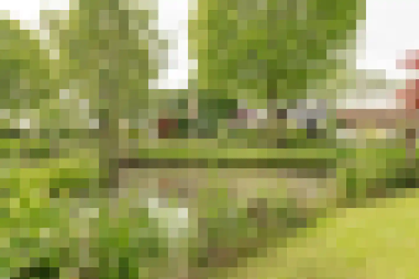Tritonpad 1 Culemborg thumbnail 62