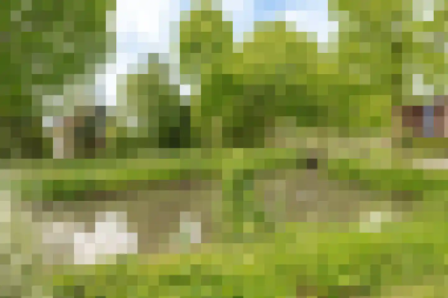 Tritonpad 1 Culemborg thumbnail 63