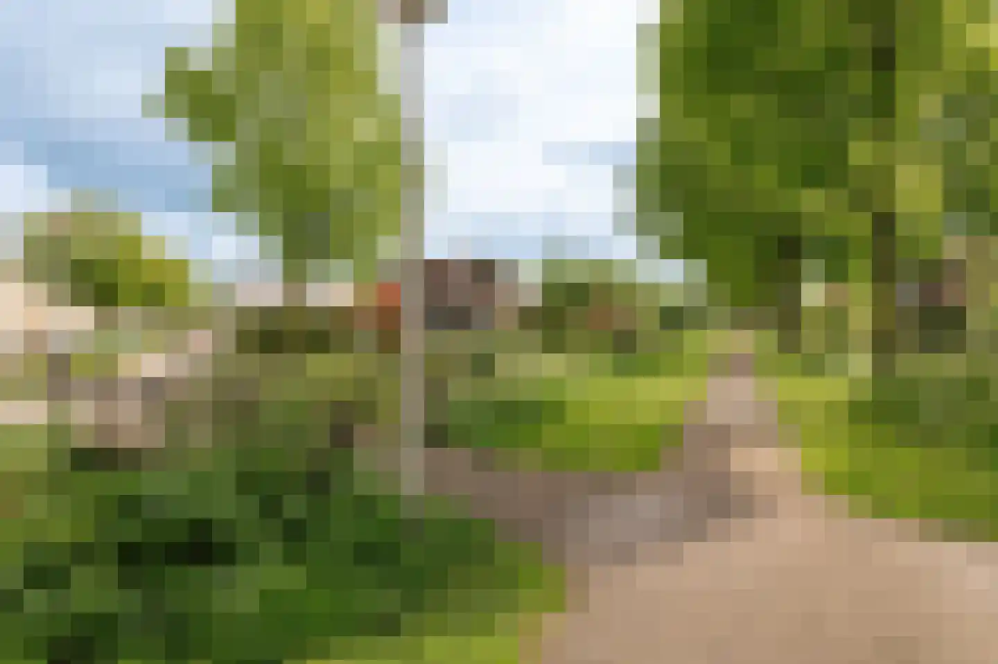 Tritonpad 1 Culemborg thumbnail 65
