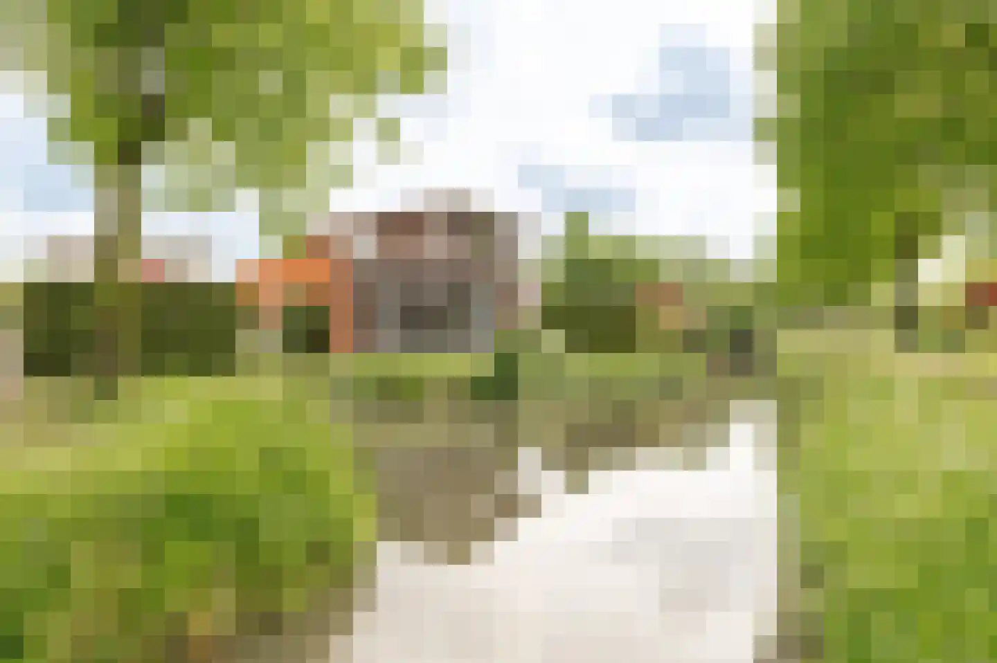 Tritonpad 1 Culemborg thumbnail 66