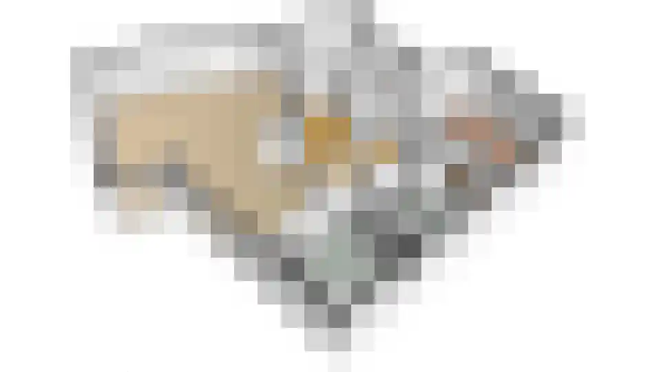 Tritonpad 1 Culemborg thumbnail 69