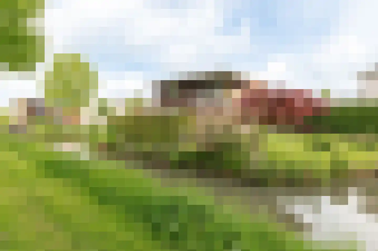 Tritonpad 1 Culemborg thumbnail 7