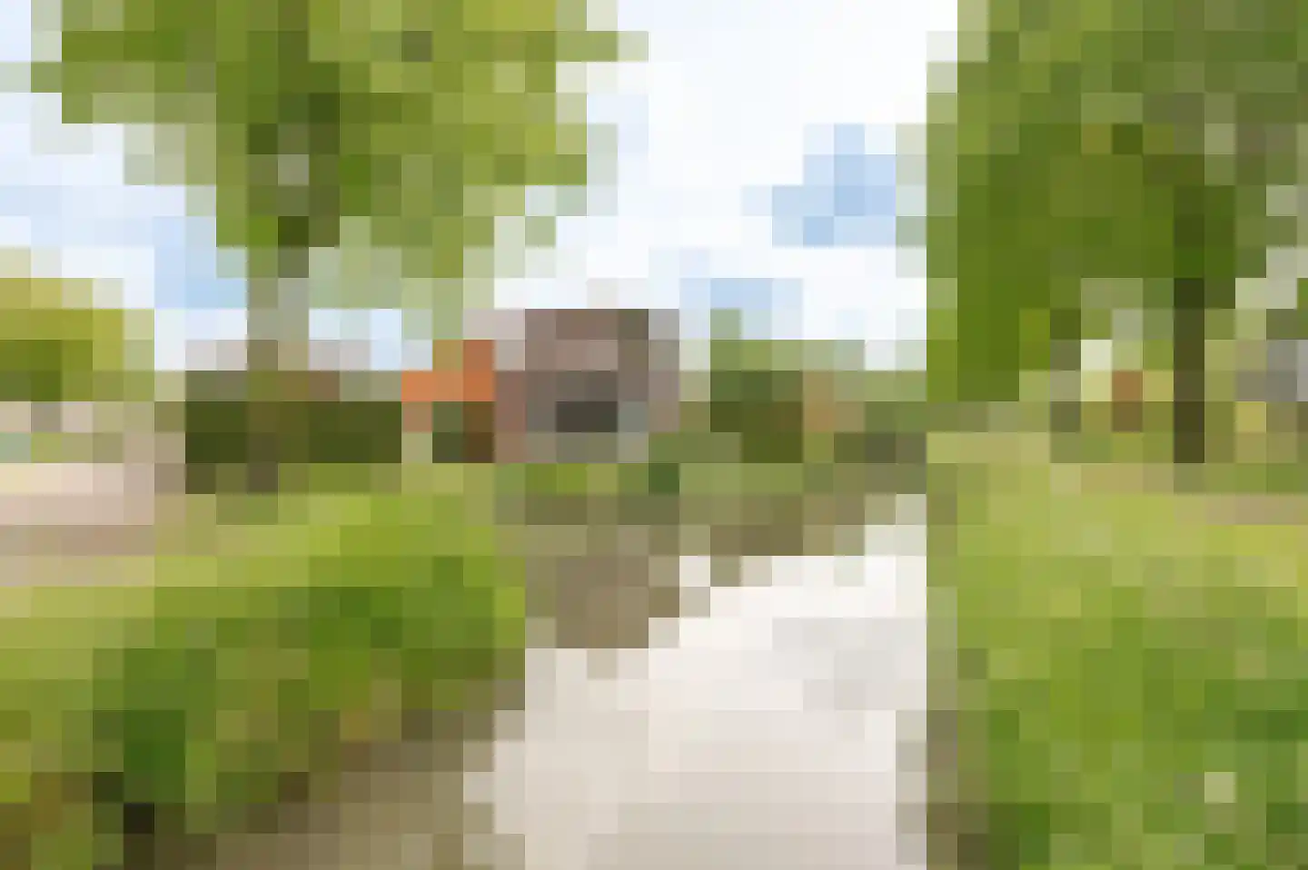Tritonpad 1 Culemborg thumbnail 8