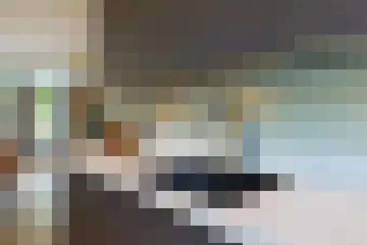 Triumphperenlaan 2 Vleuten thumbnail 15