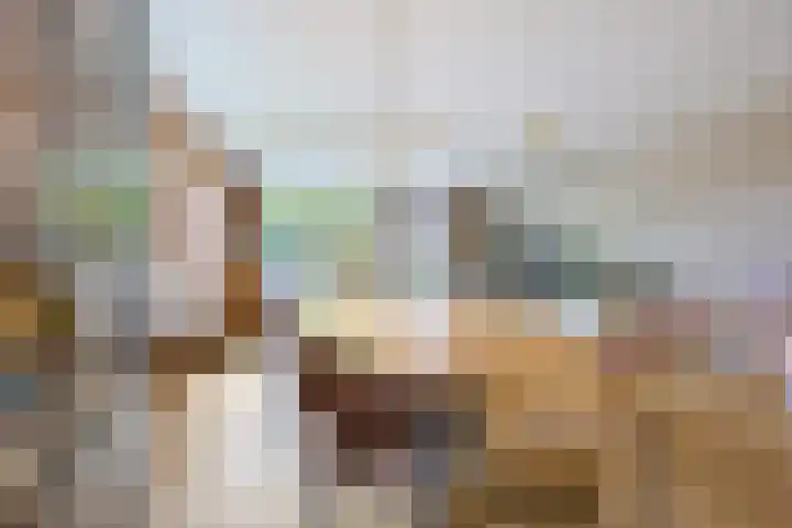 Triumphperenlaan 2 Vleuten thumbnail 16