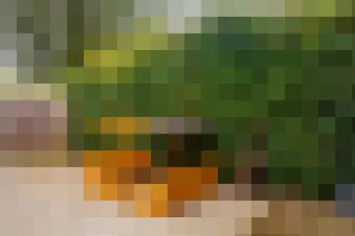 Triumphperenlaan 2 Vleuten thumbnail 19