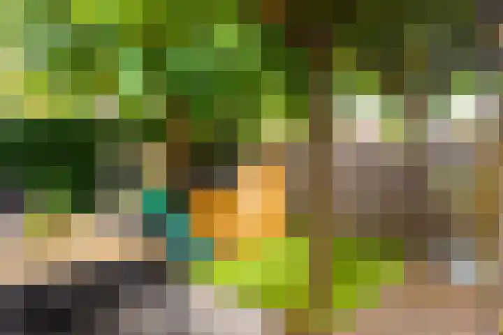 Triumphperenlaan 2 Vleuten thumbnail 21