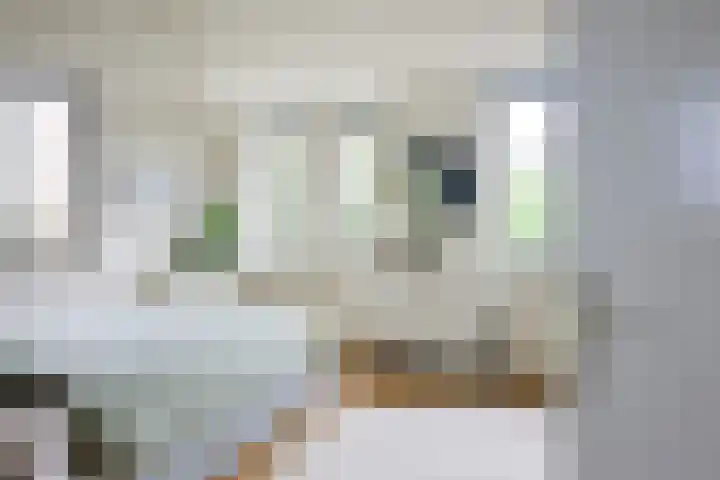 Triumphperenlaan 2 Vleuten thumbnail 25