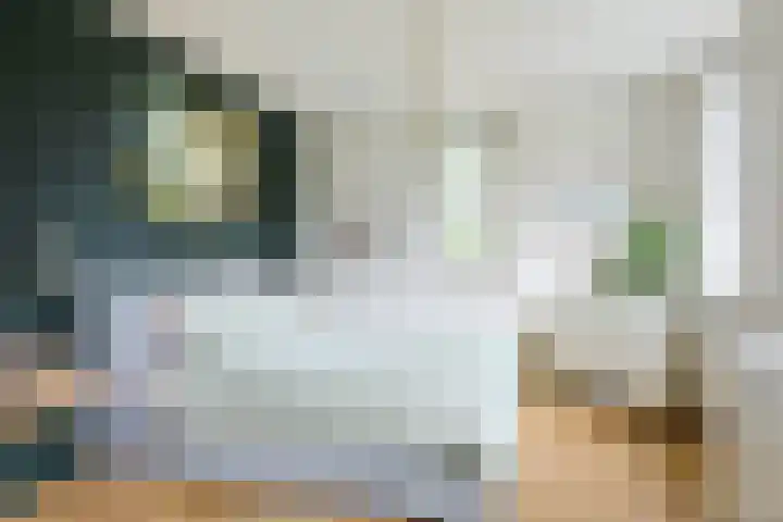 Triumphperenlaan 2 Vleuten thumbnail 26