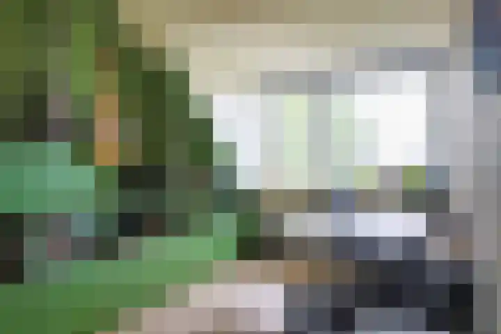 Triumphperenlaan 2 Vleuten thumbnail 40