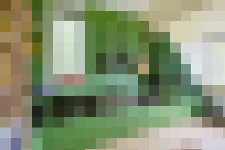 Triumphperenlaan 2 Vleuten thumbnail 43