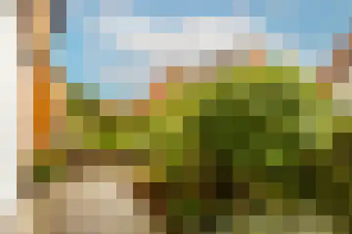 Triumphperenlaan 2 Vleuten thumbnail 47