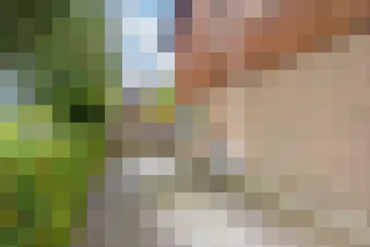 Triumphperenlaan 2 Vleuten thumbnail 48