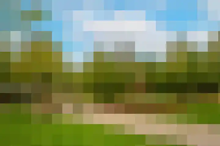 Triumphperenlaan 2 Vleuten thumbnail 49