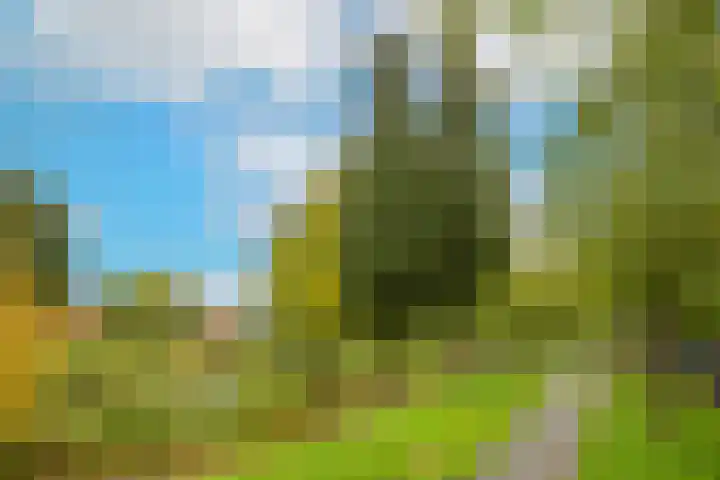Triumphperenlaan 2 Vleuten thumbnail 50