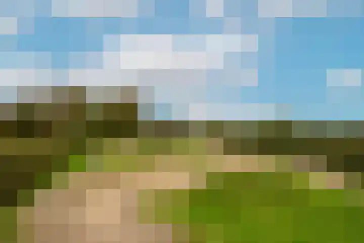 Triumphperenlaan 2 Vleuten thumbnail 51