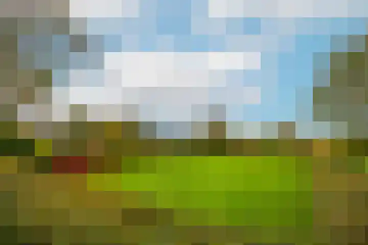 Triumphperenlaan 2 Vleuten thumbnail 52
