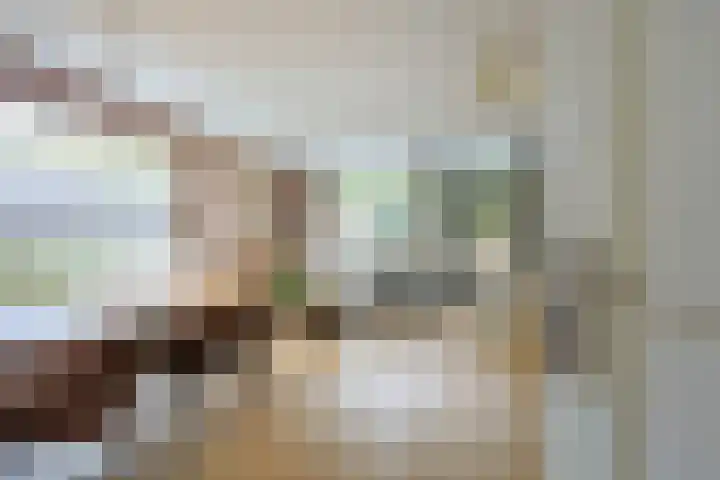Triumphperenlaan 2 Vleuten thumbnail 6