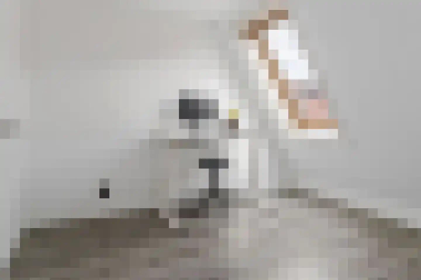 Triumphperenlaan 25 Vleuten thumbnail 26