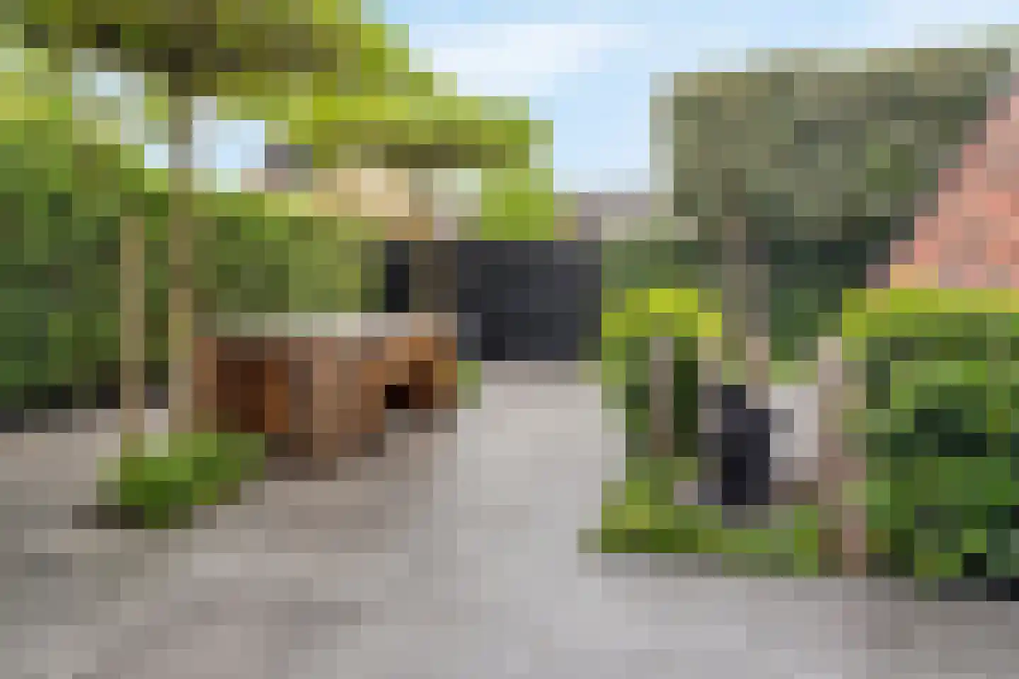 Triumphperenlaan 25 Vleuten thumbnail 36
