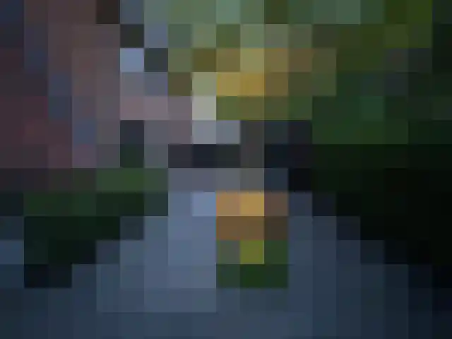 Triumphperenlaan 25 Vleuten thumbnail 45