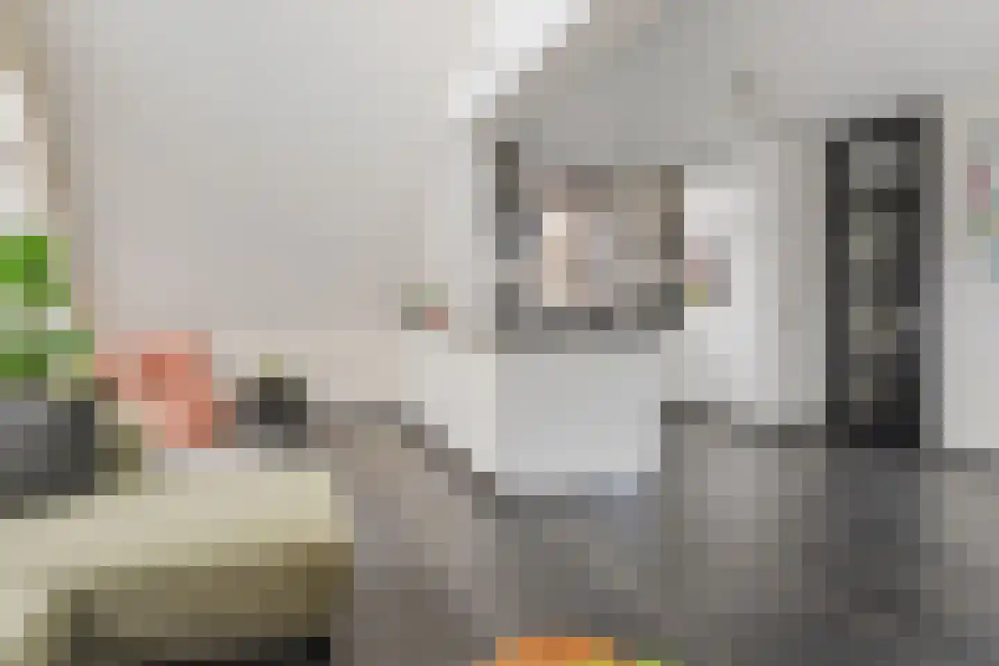 Triumphperenlaan 25 Vleuten thumbnail 5