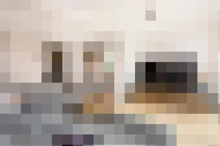 Triumphperenlaan 28 Vleuten thumbnail 10