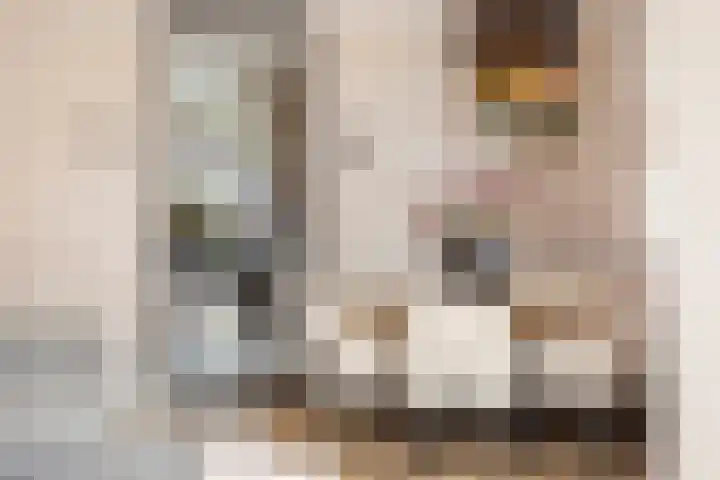 Triumphperenlaan 28 Vleuten thumbnail 12
