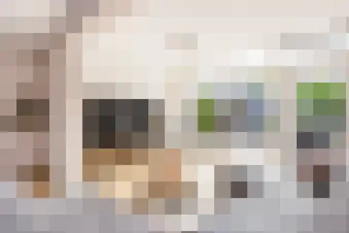 Triumphperenlaan 28 Vleuten thumbnail 14