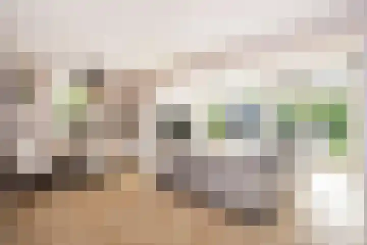 Triumphperenlaan 28 Vleuten thumbnail 15