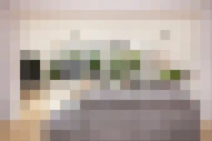 Triumphperenlaan 28 Vleuten thumbnail 16