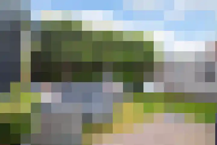 Triumphperenlaan 28 Vleuten thumbnail 21
