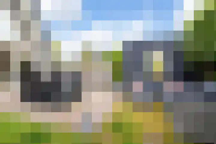 Triumphperenlaan 28 Vleuten thumbnail 23