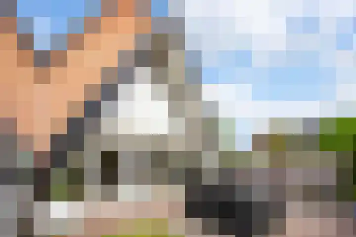 Triumphperenlaan 28 Vleuten thumbnail 24