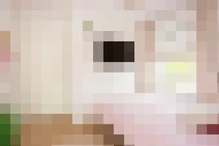 Triumphperenlaan 28 Vleuten thumbnail 35