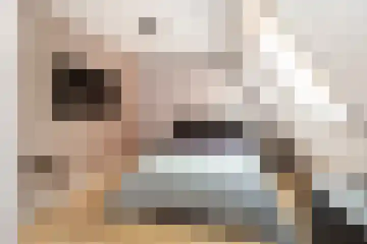 Triumphperenlaan 28 Vleuten thumbnail 39