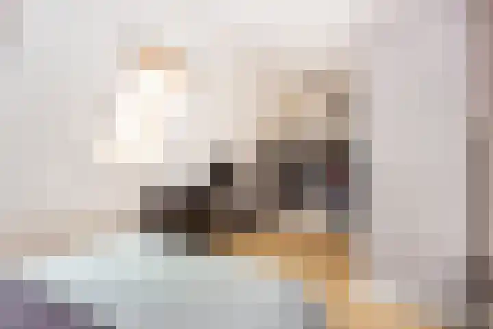Triumphperenlaan 28 Vleuten thumbnail 41