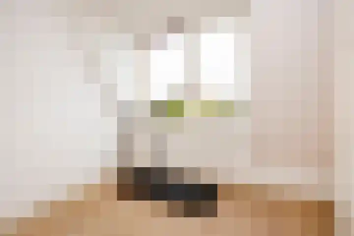 Triumphperenlaan 28 Vleuten thumbnail 42