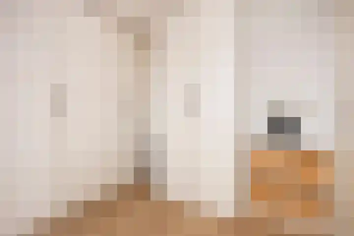 Triumphperenlaan 28 Vleuten thumbnail 43