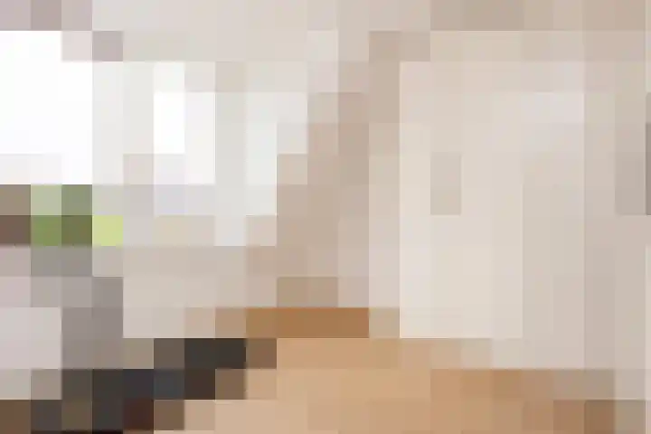 Triumphperenlaan 28 Vleuten thumbnail 44